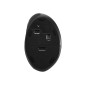 Kensington Pro Fit Ergo Wireless Mouse Trådløs Sort Kensington Pro Fit Ergo Wireless Mouse Trådløs Sort